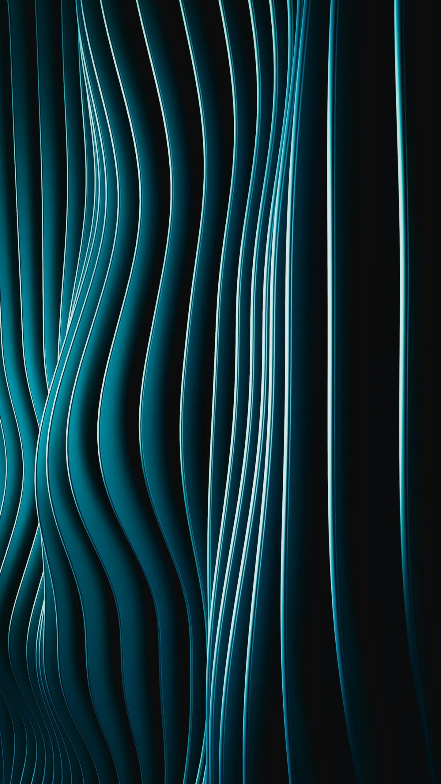 The Payments Pulse: The Checkpoint Moves Inside the Payment